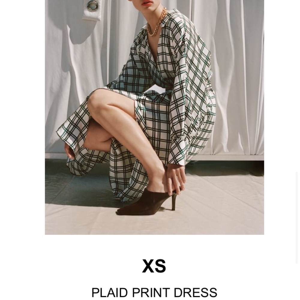 Zara dress